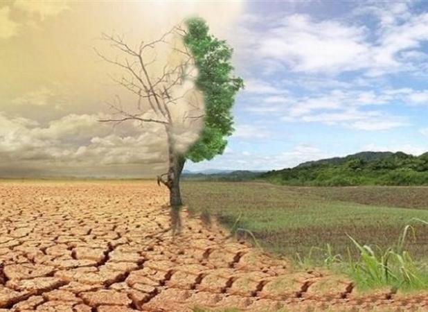 راهی به‌سوی رهایی از گمراهی