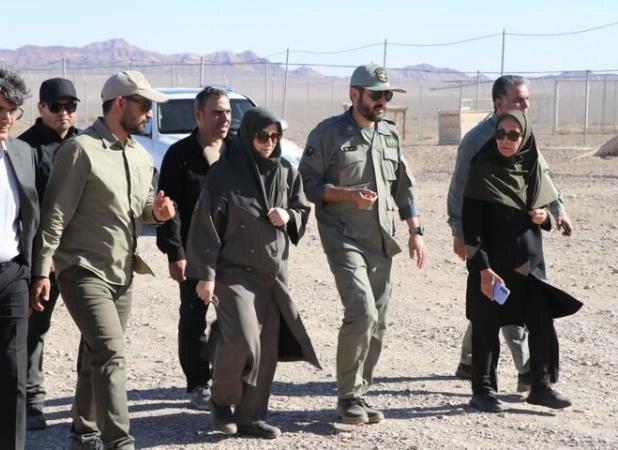 «طعمه، آب و ایمنی» کلید نجات یوزپلنگ؛ تقویت زنجیره غذایی توران شاهرود