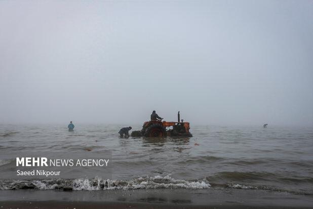 حال خوش صید و صیادی در مازندران