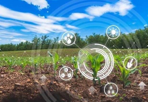 رئیس جهاد کشاورزی قزوین: فناوری محور توسعه پایدار و مهاجرت معکوس در روستاهاست