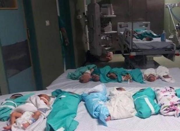 خطر بزرگ برای جان ۱۴ هزار نوزاد در غزه/ مرگ تلخ زنان