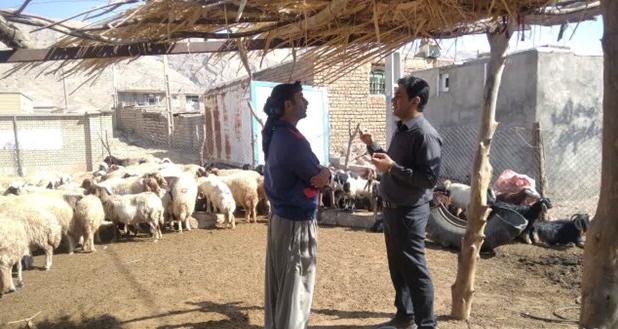 بررسی علمی نرخ باروری در گله «میش‌های داشتی» عرب رودبار