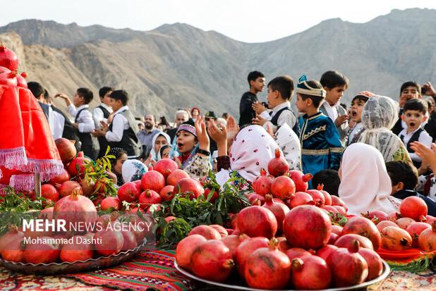 بهجت حقیقی: اولین جشنواره انار کازرون برگزار می‌شود