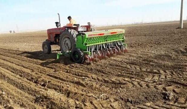  توسعه ۲۰ هکتاری گیاهان علوفه‌ای در اراضی دیم سیروان