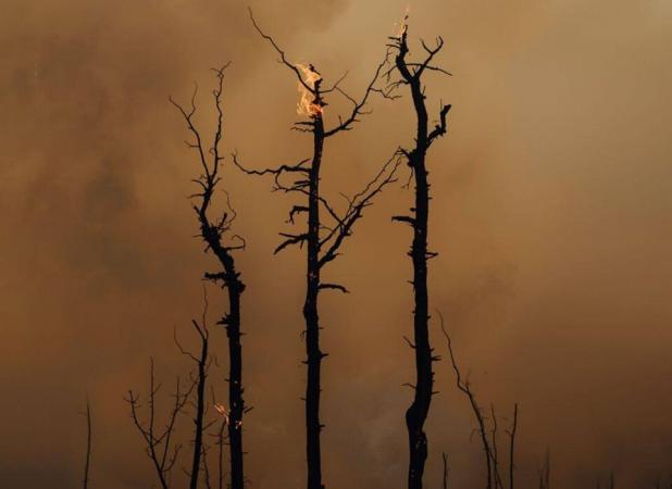 پوستر زیبای ذوب‌آهن؛ فوتبال علیه آتش‌سوزی هیرکانی!