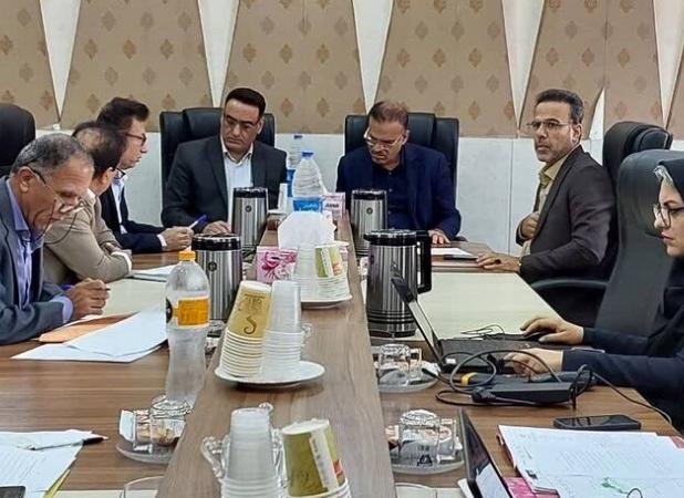 ۲۶ هزار هکتار اراضی در تنگستان و دشتی تعیین تکلیف شد