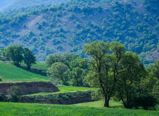 جنبش ملی سرمایه‌گذاری در سپیدان/ نگین سبز فارس آماده پرواز اقتصادی و گردشگری می‌شود