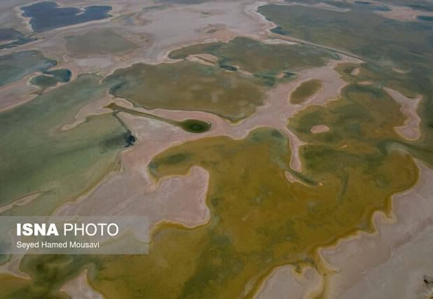 آب، حقی که به تالاب‌های خوزستان نمی‌رسد