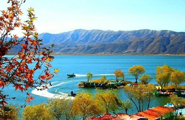 تپش زندگی در نگین غرب؛ وقتی حالِ خوش «زریوار» آرزوی تالاب‌های ایران است+ فیلم