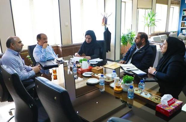 شاه‌حسینی: دستاوردهای همایش هوش مصنوعی به طرح‌های عملیاتی تبدیل شود