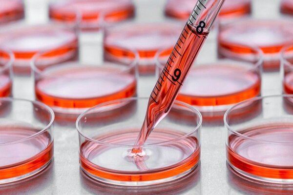 جذب داوطلب اهدای سلول بنیادی برای اولین بار در نماز جمعه