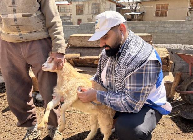 رزمایش دامپزشکی در ۱۱ روستای رامسر برگزار شد