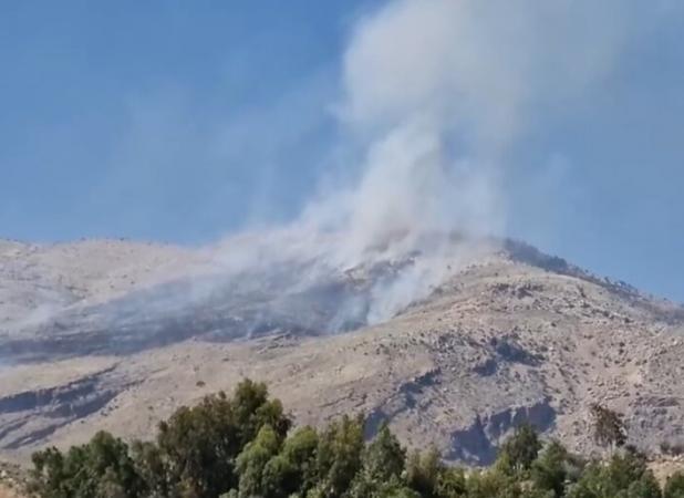 آتش سوزی در کوه دراک شیراز