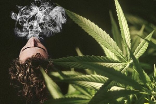 ذوالفقاری: لایحه جرم‌انگاری مواد مخدر نوظهور به مجلس می‌رود