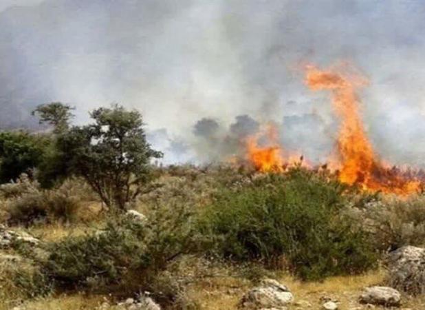 آتش‌سوزی در منطقه حفاظت‌شده هلن دوباره شعله‌ور شد