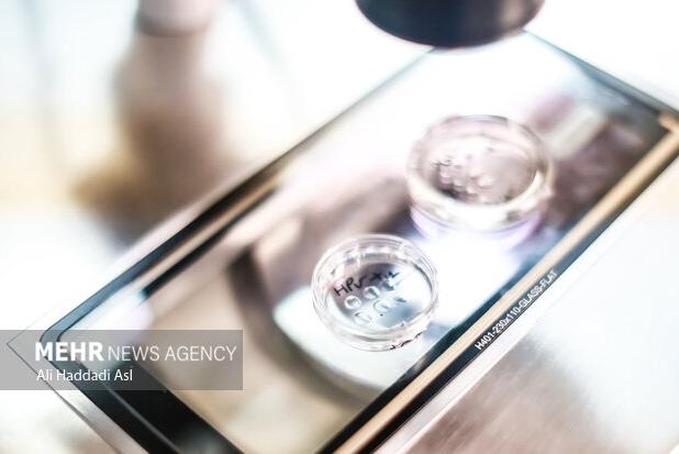 ۲۷ هزار نفر از زوجین نابارور مازندران در سامانه ثبت نام کردند