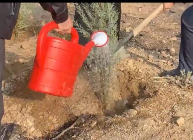 پویش مردمی نهال‌کاری به مناسبت روز دانشجو