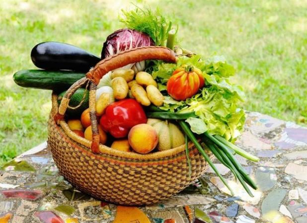 خطر آلودگی سبزیجات به مدفوع سگ و گربه/ هشدار به مصرف لبنیات غیرپاستوریزه