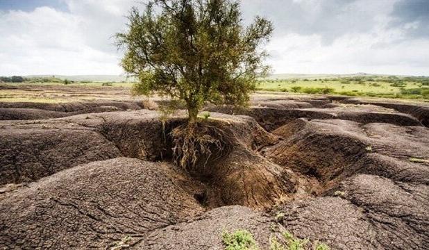 خاک؛ قربانی توسعه بی‌رویه در خراسان رضوی