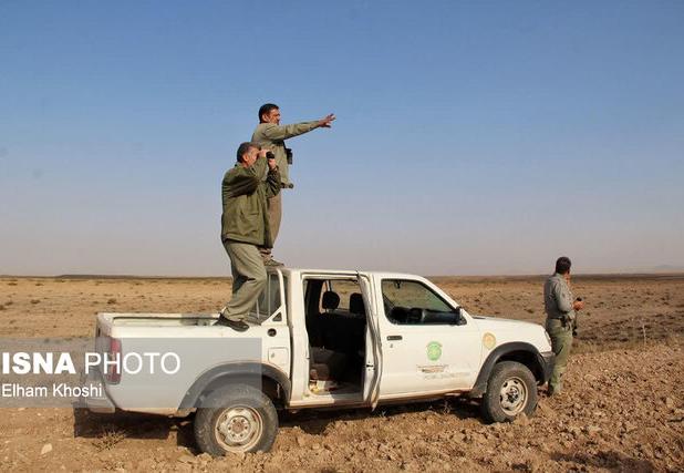 پایش میدانی حیات‌وحش در منطقه شکار ممنوع خرمنه‌سر طارم