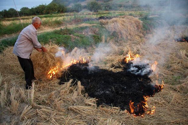 ضرورت اقدام فوری برای مهار آتش‌سوزی مزارع و کاهش آلودگی هوا در خوزستان
