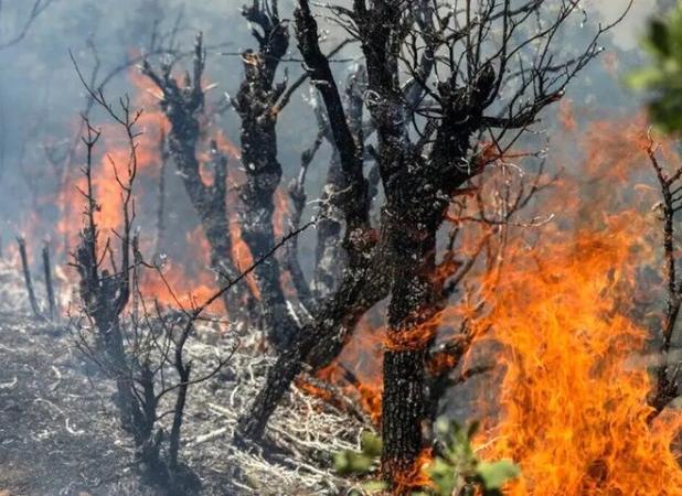 آتش‌سوزی باغ‌شاه گرگان تحت کنترل نیروهای منابع طبیعی