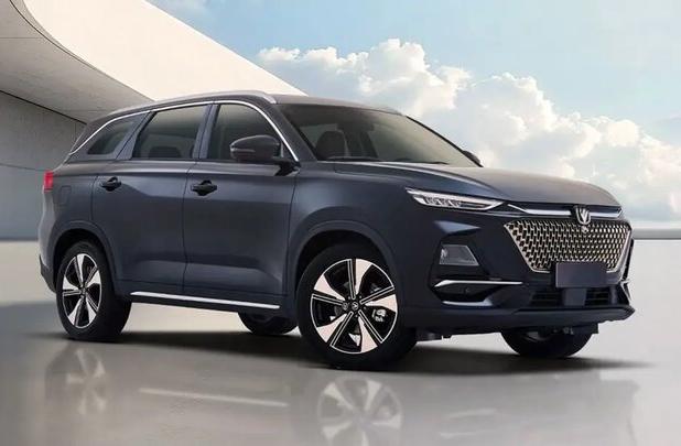 شاسی بلند چینی رکورد گینس را ثبت کرد