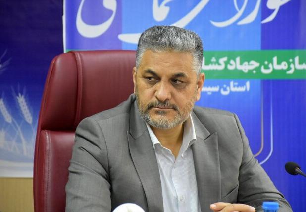 اقدام جدی علیه قاچاق دام، روغن و کالاهای اساسی در سیستان و بلوچستان