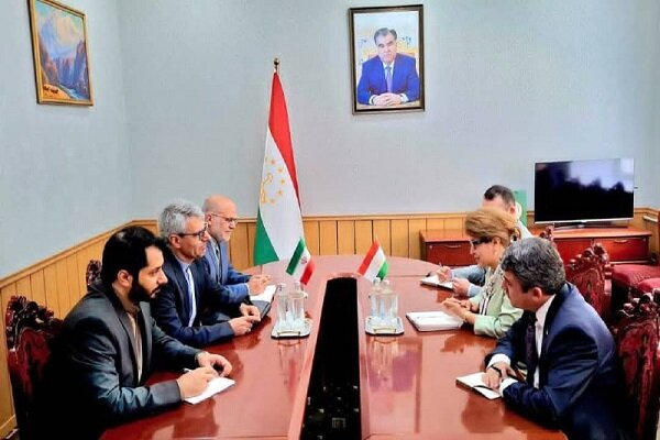 دیدار سخنگوی وزارت خارجه با وزیر فرهنگ تاجیکستان