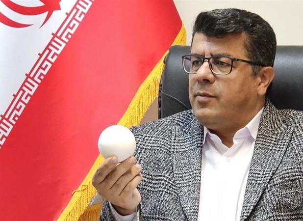 ناظری: سرمربی تیم ملی چوگان استعفا نکرده است