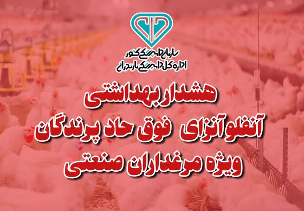 هشدار بهداشتی دامپزشکی مازندران به مرغدارن صنعتی درباره آنفلوانزای فوق حاد پرندگان