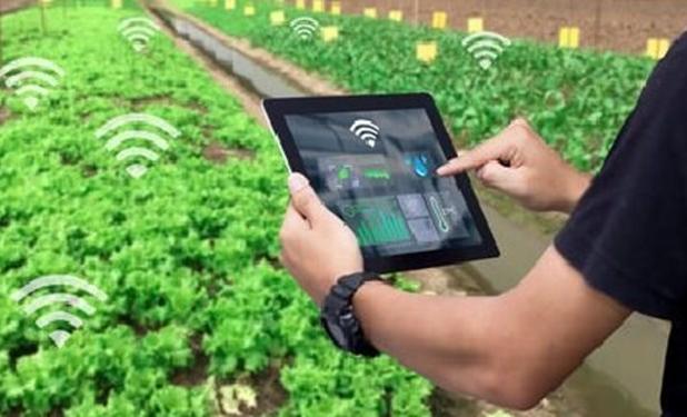 استقبال بخش خصوصی از سرمایه گذاری درحوزه کشاورزی