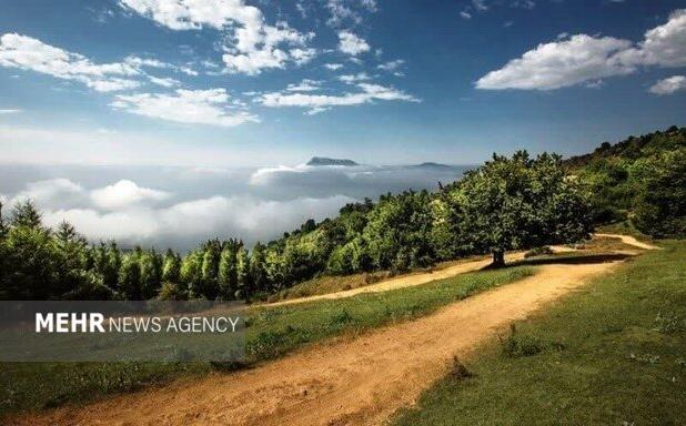 خطر آتش سوزی در زیستگاه‌های طبیعی مازندران