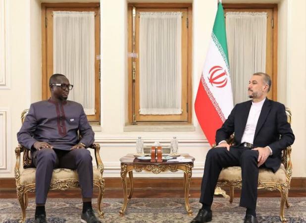آمادگی ایران برای توسعه مناسبات با آفریقای مرکزی
