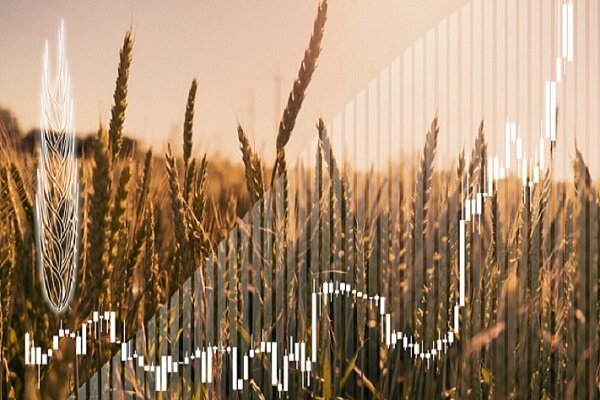 بریکس در مسیر تبدیل‌شدن به قطب جهانی امنیت غذایی