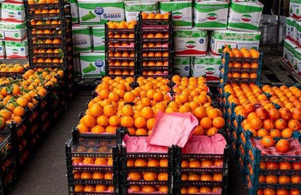 معتمد: تأمین و ذخیره سازی میوه شب عید در آذربایجان غربی