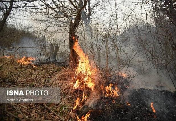 مدیرکل منابع طبیعی گیلان: آتش سوزی در جنگل های ماسال مهار شد