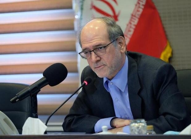 احمدی: استفاده از ظرفیت بخش خصوصی در حوزه فرهنگ و هنر ضروری است