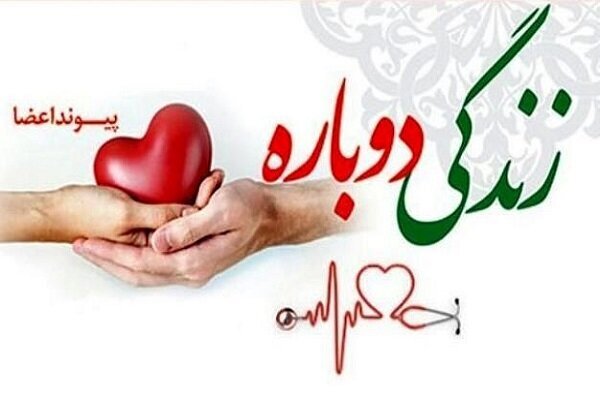 بیمار مرگ مغزی به چند بیمارجان دوباره بخشید