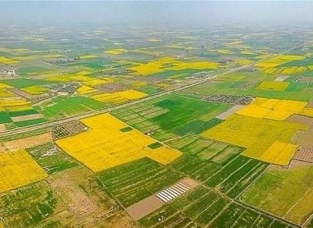 تجمیع ۱۵.۷ هزار هکتار از اراضی کشاورزی کشور 