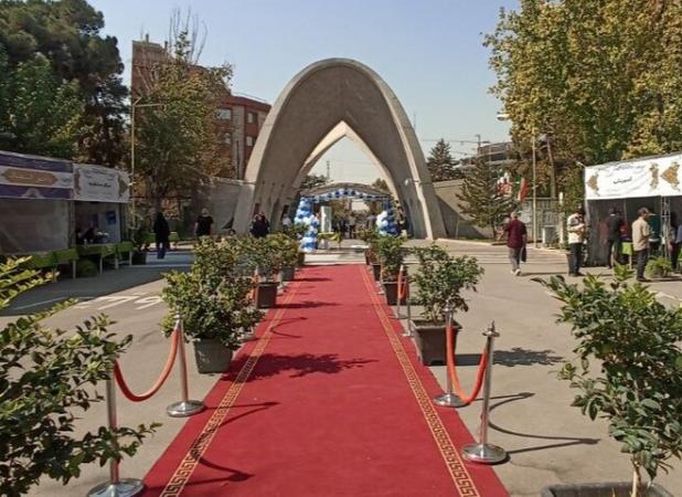درخشش جهانی دانشگاه علم و صنعت در ۲ نظام رتبه بندی