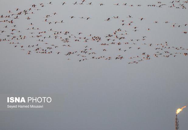وضعیت «قرمز» هوا در ۶ شهر خوزستان