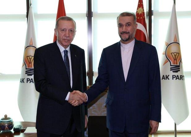 امیرعبداللهیان با رئیس جمهور ترکیه دیدار کرد