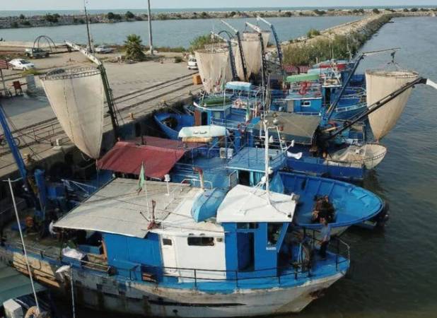 تکثیر و پرورش ماهیان خاویاری در مازندران تقویت شود