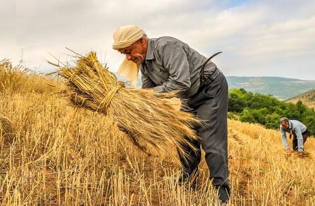 مشارکت مالی صندوق تعاون در فعالیت کشاورزان