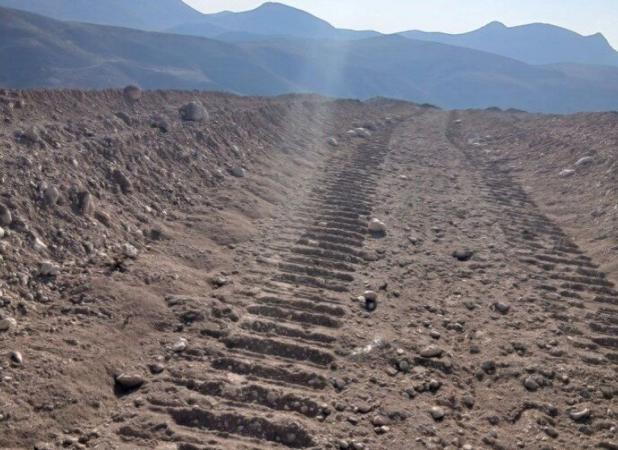 سرمایه‌گذار شترمرغ از دستور استاندار خراسان شمالی سرپیچی کرد