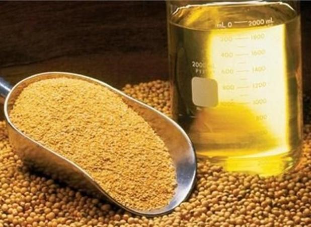 ممنوعیت واردات روغن غیر قانونی است