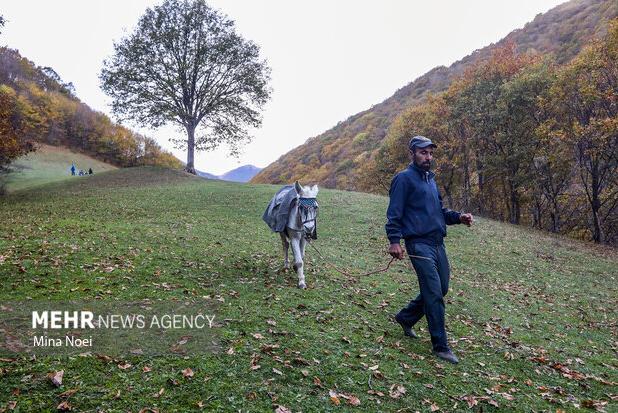 لزوم همکاری مردم برای حفاظت از گونه‌های نادر  و حیات وحش در کردستان