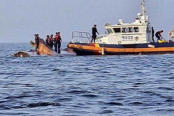 ۱ کشته و ۳ مفقود در پی واژگونی قایق ماهیگیری در ژاپن