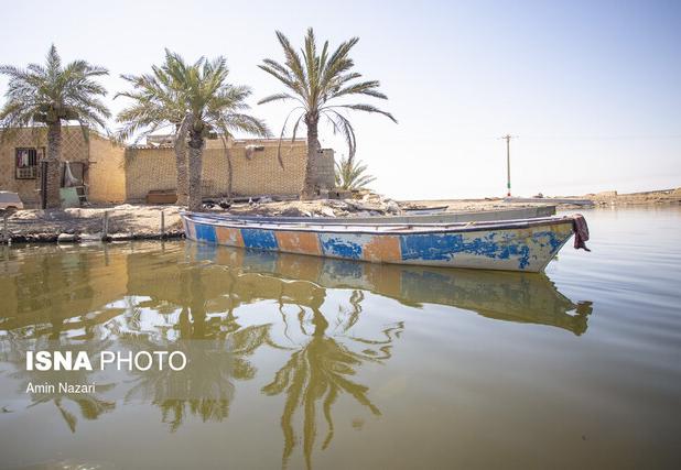 ۵۸ درصد تالاب شادگان خشک شده است/ تخصیص تنها نیمی از حق‌آبه تالاب